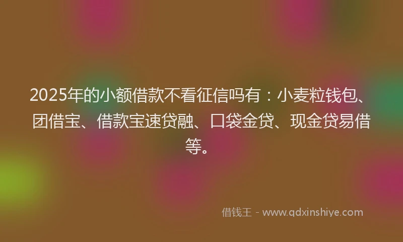 2025年的小额借款不看征信吗有：小麦粒钱包、团借宝、借款宝速贷融、口袋金贷、现金贷易借等。