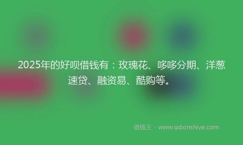 2025年的好呗借钱有：玫瑰花、哆哆分期、洋葱速贷、融资易、酷购等。
