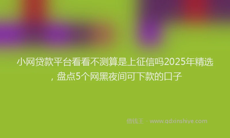 小网贷款平台看看不测算是上征信吗2025年精选，盘点5个网黑夜间可下款的口子