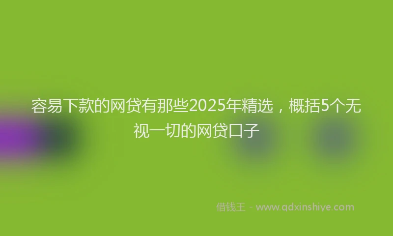容易下款的网贷有那些2025年精选，概括5个无视一切的网贷口子