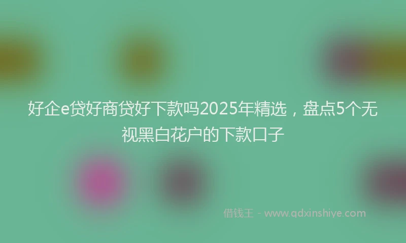 好企e贷好商贷好下款吗2025年精选，盘点5个无视黑白花户的下款口子