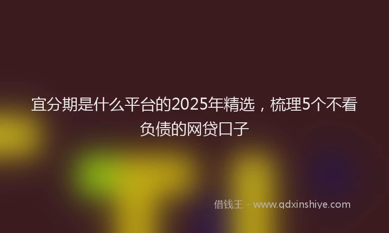 宜分期是什么平台的2025年精选，梳理5个不看负债的网贷口子