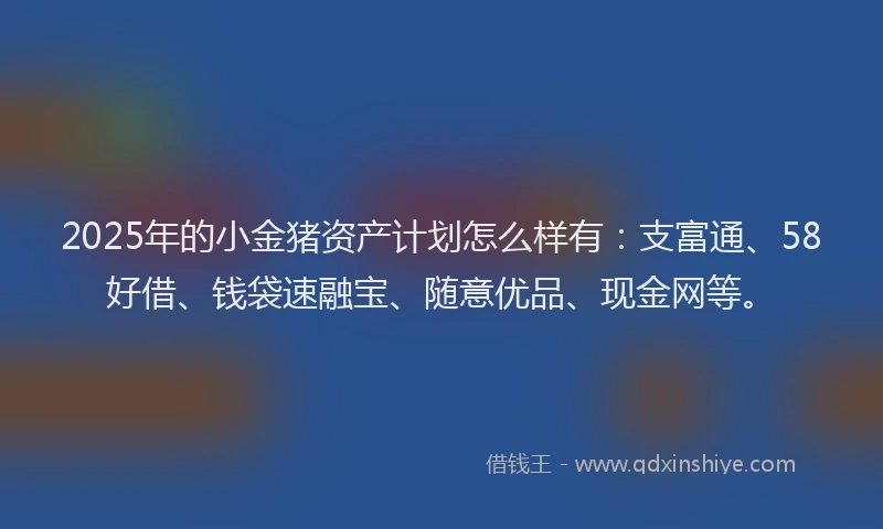2025年的小金猪资产计划怎么样有：支富通、58好借、钱袋速融宝、随意优品、现金网等。