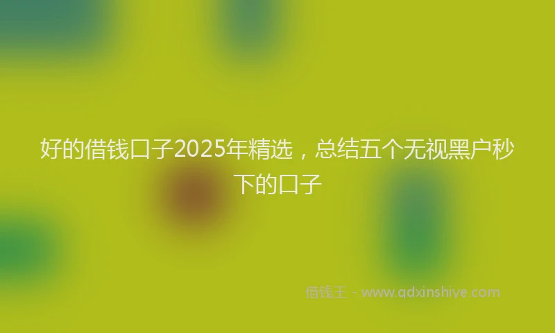 好的借钱口子2025年精选，总结五个无视黑户秒下的口子