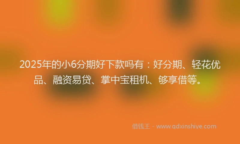 2025年的小6分期好下款吗有：好分期、轻花优品、融资易贷、掌中宝租机、够享借等。