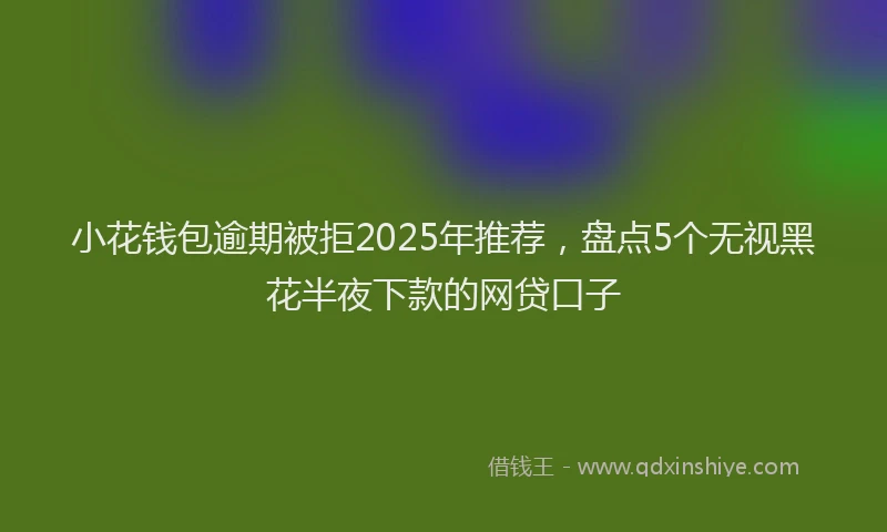 小花钱包逾期被拒2025年推荐，盘点5个无视黑花半夜下款的网贷口子