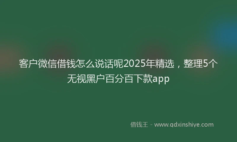 客户微信借钱怎么说话呢2025年精选，整理5个无视黑户百分百下款app