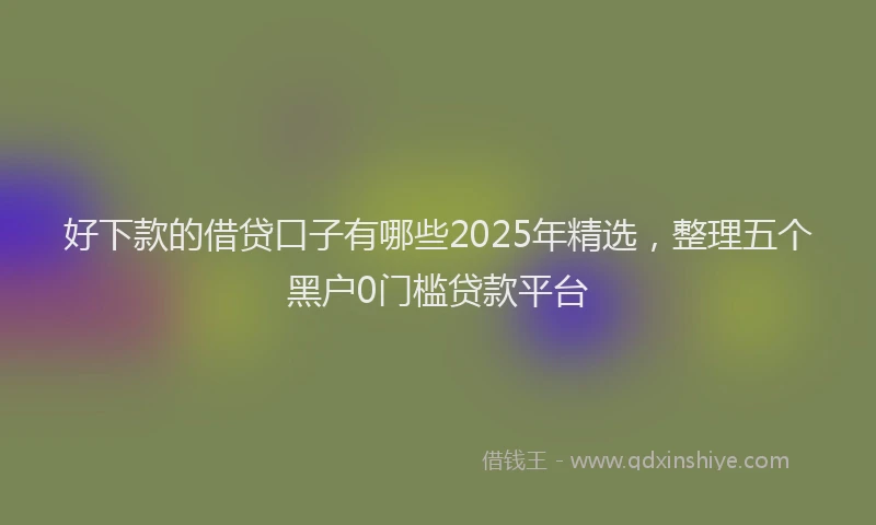 好下款的借贷口子有哪些2025年精选，整理五个黑户0门槛贷款平台