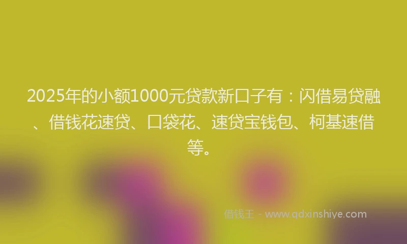 2025年的小额1000元贷款新口子有：闪借易贷融、借钱花速贷、口袋花、速贷宝钱包、柯基速借等。