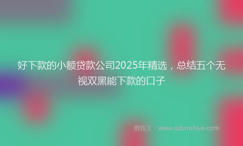 好下款的小额贷款公司2025年精选，总结五个无视双黑能下款的口子