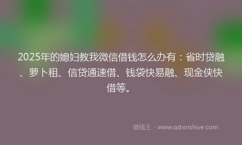 2025年的媳妇教我微信借钱怎么办有：省时贷融、萝卜租、信贷通速借、钱袋快易融、现金侠快借等。