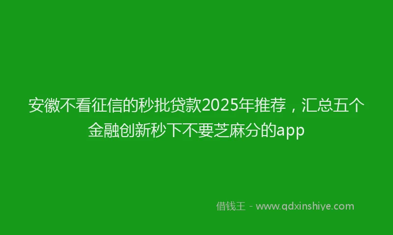 安徽不看征信的秒批贷款2025年推荐，汇总五个金融创新秒下不要芝麻分的app