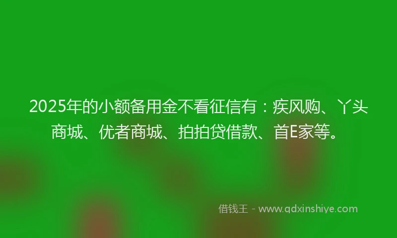 2025年的小额备用金不看征信有：疾风购、丫头商城、优者商城、拍拍贷借款、首E家等。