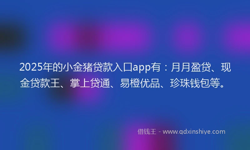 2025年的小金猪贷款入口app有：月月盈贷、现金贷款王、掌上贷通、易橙优品、珍珠钱包等。
