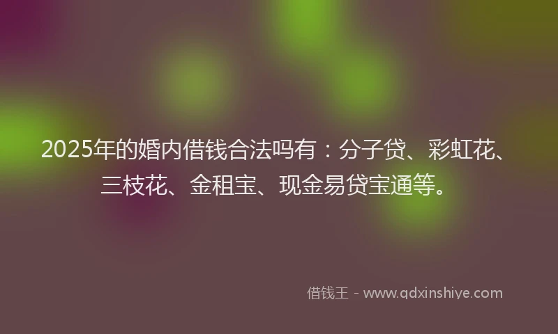 2025年的婚内借钱合法吗有：分子贷、彩虹花、三枝花、金租宝、现金易贷宝通等。
