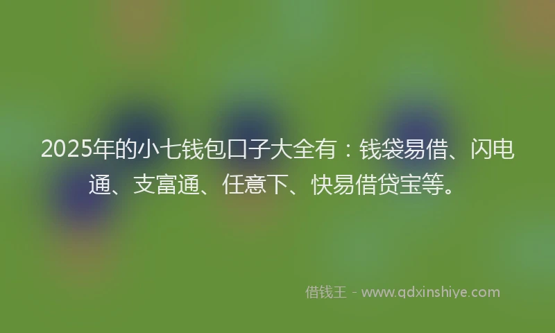 2025年的小七钱包口子大全有：钱袋易借、闪电通、支富通、任意下、快易借贷宝等。