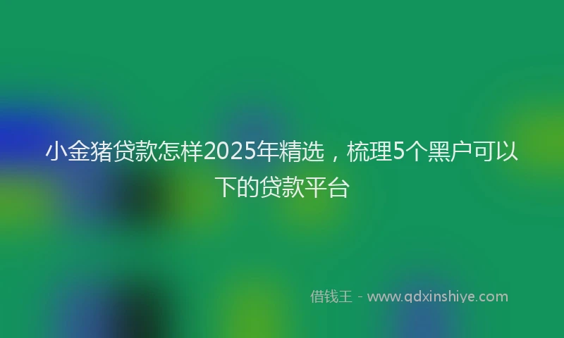 小金猪贷款怎样2025年精选，梳理5个黑户可以下的贷款平台