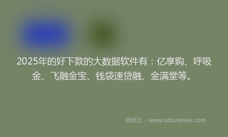 2025年的好下款的大数据软件有：亿享购、呼吸金、飞融金宝、钱袋速贷融、金满堂等。