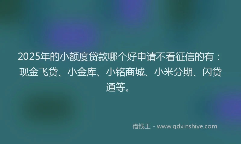 2025年的小额度贷款哪个好申请不看征信的有：现金飞贷、小金库、小铭商城、小米分期、闪贷通等。