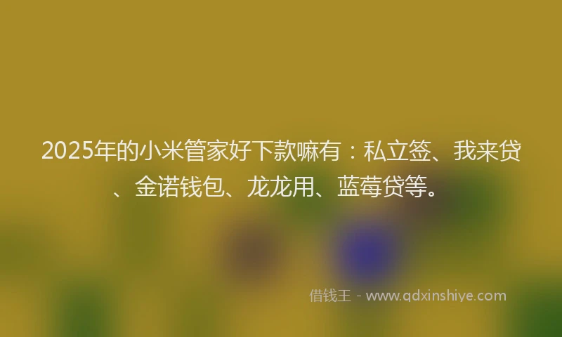 2025年的小米管家好下款嘛有：私立签、我来贷、金诺钱包、龙龙用、蓝莓贷等。