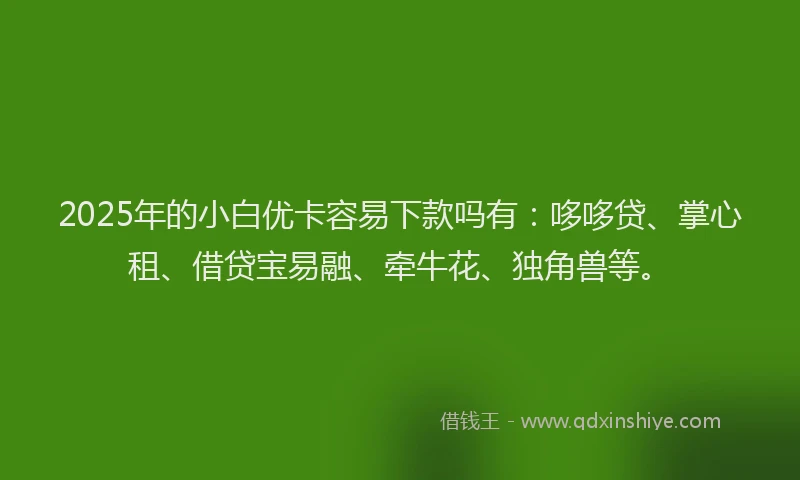 2025年的小白优卡容易下款吗有：哆哆贷、掌心租、借贷宝易融、牵牛花、独角兽等。