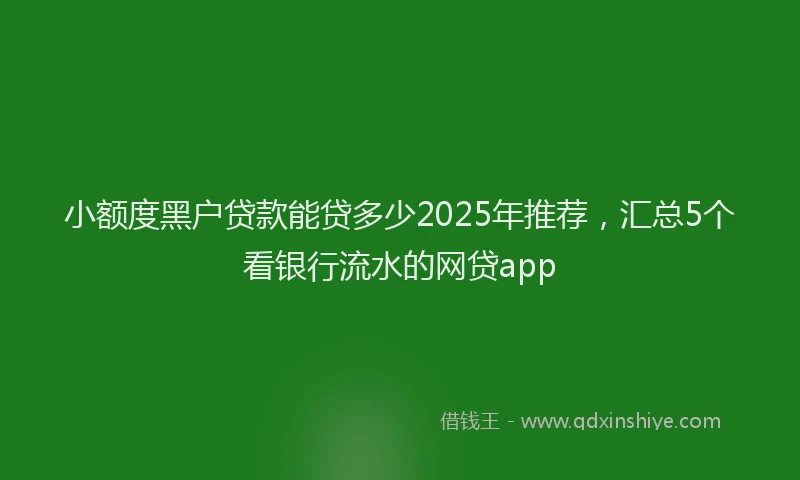 小额度黑户贷款能贷多少2025年推荐，汇总5个看银行流水的网贷app