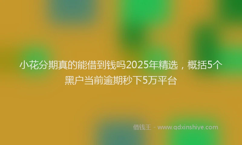 小花分期真的能借到钱吗2025年精选，概括5个黑户当前逾期秒下5万平台