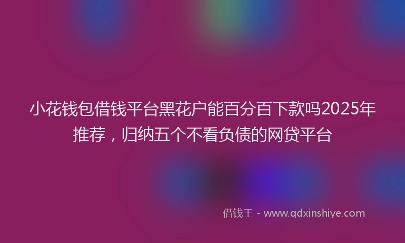 小花钱包借钱平台黑花户能百分百下款吗2025年推荐，归纳五个不看负债的网贷平台