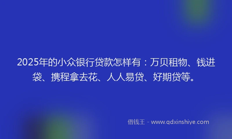 2025年的小众银行贷款怎样有：万贝租物、钱进袋、携程拿去花、人人易贷、好期贷等。