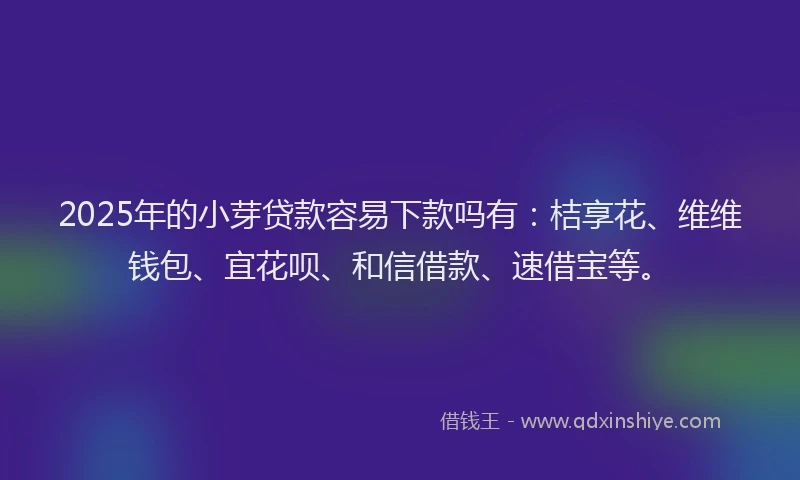 2025年的小芽贷款容易下款吗有：桔享花、维维钱包、宜花呗、和信借款、速借宝等。