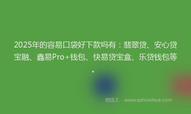 2025年的容易口袋好下款吗有：翡翠贷、安心贷宝融、鑫易Pro+钱包、快易贷宝盒、乐贷钱包等。