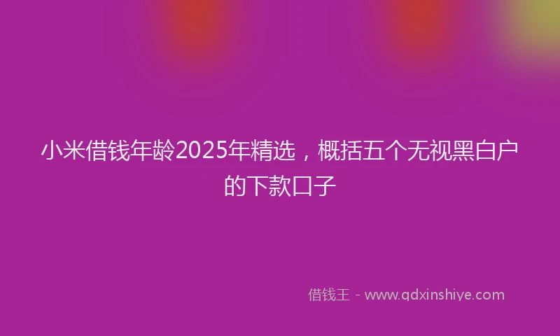 小米借钱年龄2025年精选，概括五个无视黑白户的下款口子