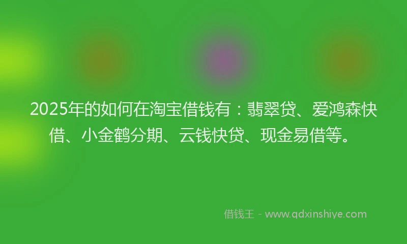 2025年的如何在淘宝借钱有：翡翠贷、爱鸿森快借、小金鹤分期、云钱快贷、现金易借等。
