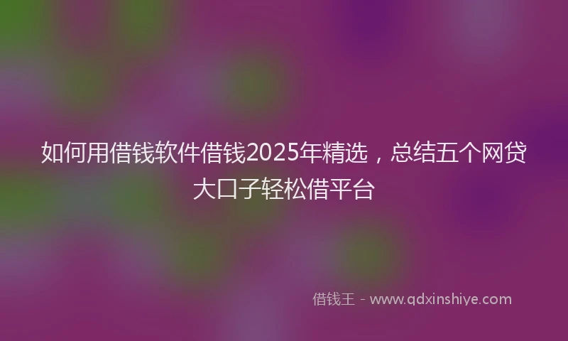 如何用借钱软件借钱2025年精选，总结五个网贷大口子轻松借平台