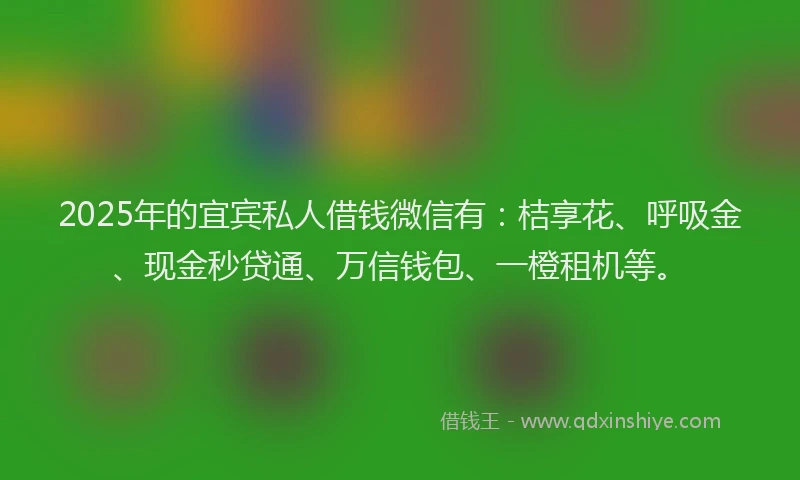 2025年的宜宾私人借钱微信有：桔享花、呼吸金、现金秒贷通、万信钱包、一橙租机等。