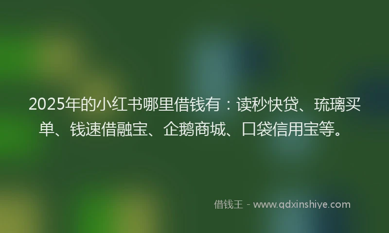 2025年的小红书哪里借钱有：读秒快贷、琉璃买单、钱速借融宝、企鹅商城、口袋信用宝等。