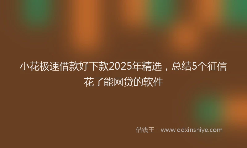 小花极速借款好下款2025年精选，总结5个征信花了能网贷的软件