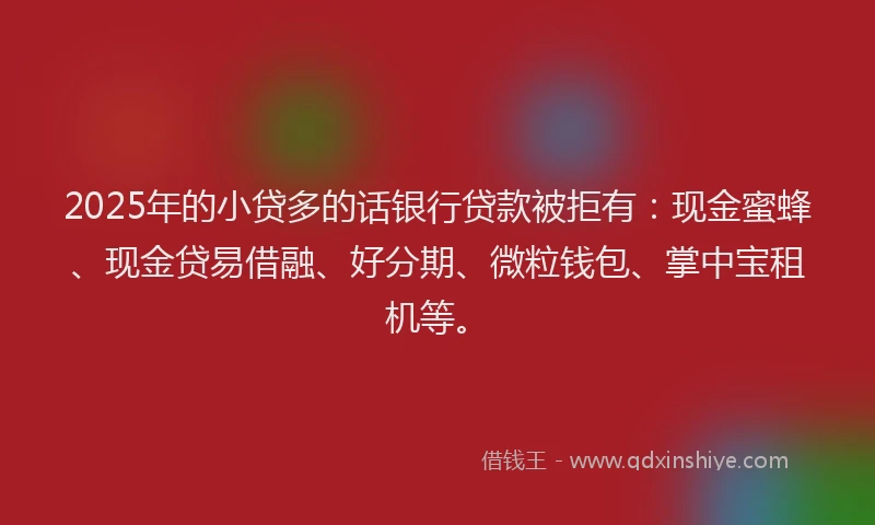 2025年的小贷多的话银行贷款被拒有：现金蜜蜂、现金贷易借融、好分期、微粒钱包、掌中宝租机等。
