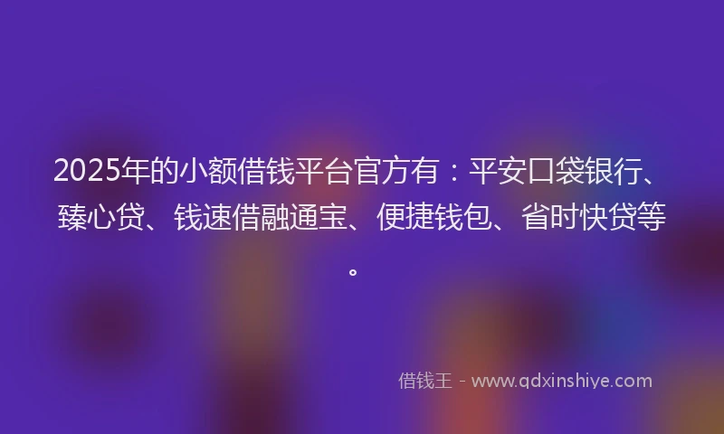 2025年的小额借钱平台官方有：平安口袋银行、臻心贷、钱速借融通宝、便捷钱包、省时快贷等。
