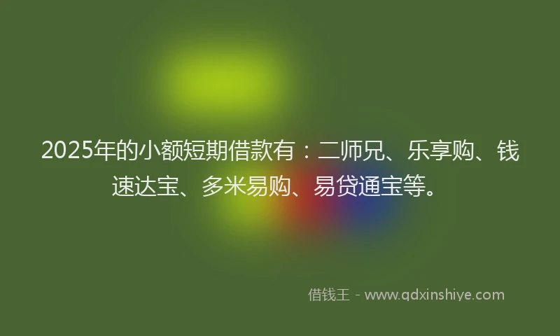 2025年的小额短期借款有：二师兄、乐享购、钱速达宝、多米易购、易贷通宝等。