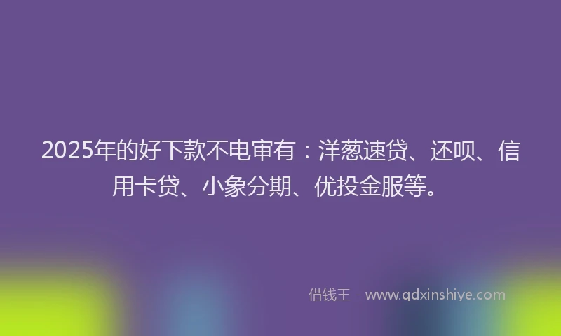 2025年的好下款不电审有：洋葱速贷、还呗、信用卡贷、小象分期、优投金服等。