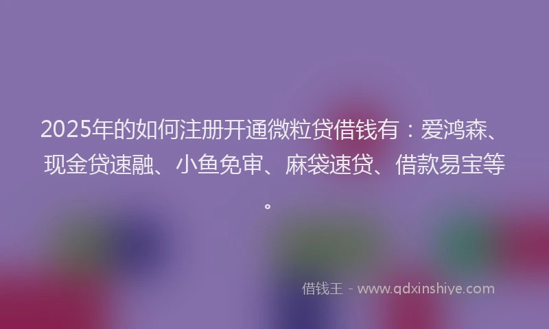 2025年的如何注册开通微粒贷借钱有：爱鸿森、现金贷速融、小鱼免审、麻袋速贷、借款易宝等。