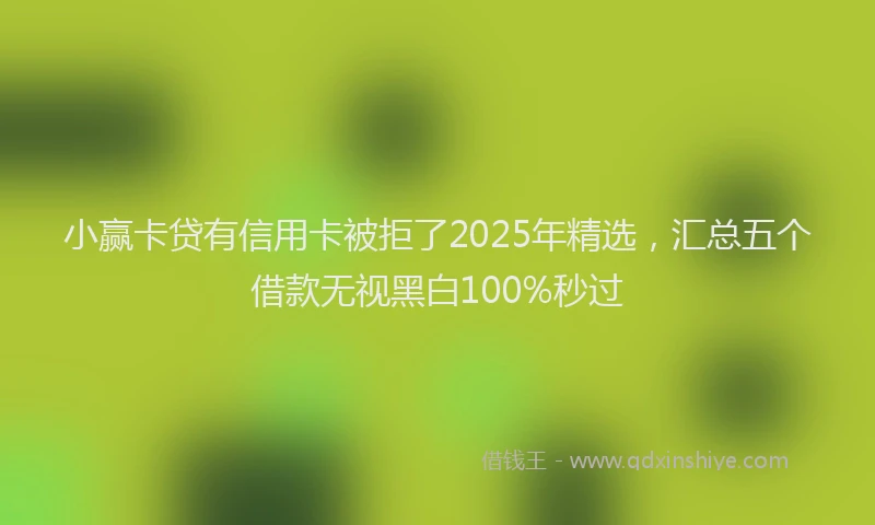 小赢卡贷有信用卡被拒了2025年精选，汇总五个借款无视黑白100%秒过