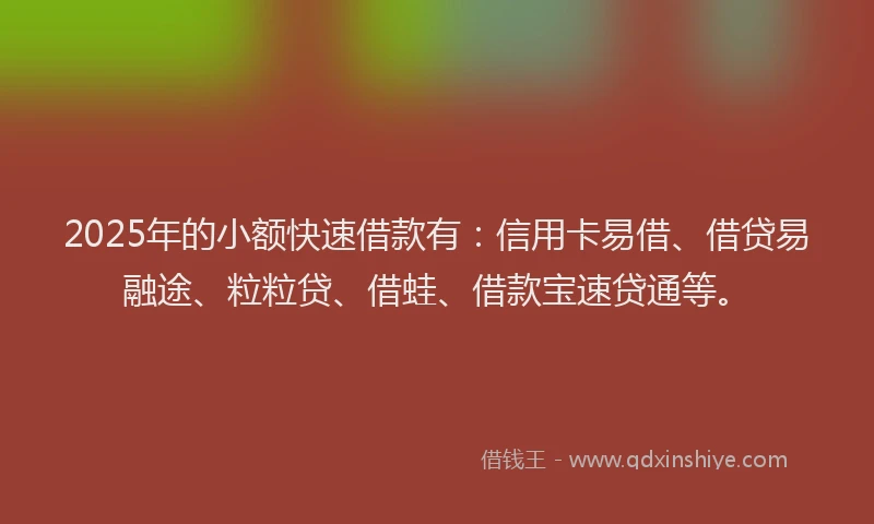 2025年的小额快速借款有:信用卡易借、借贷易融途、粒粒贷、借蛙、借款宝速贷通等。