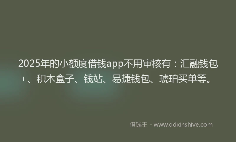 2025年的小额度借钱app不用审核有：汇融钱包+、积木盒子、钱站、易捷钱包、琥珀买单等。