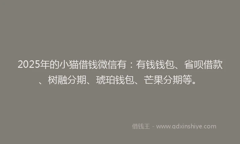 2025年的小猫借钱微信有：有钱钱包、省呗借款、树融分期、琥珀钱包、芒果分期等。
