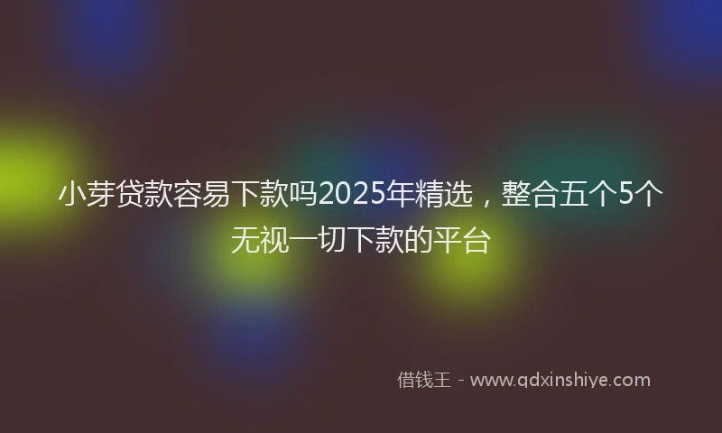 小芽贷款容易下款吗2025年精选，整合五个5个无视一切下款的平台