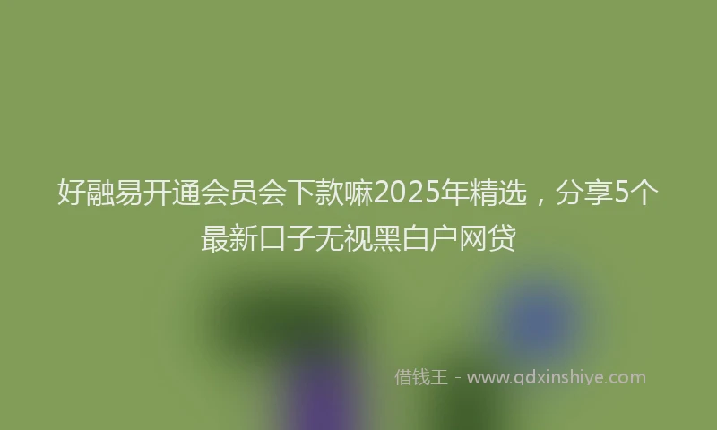 好融易开通会员会下款嘛2025年精选，分享5个最新口子无视黑白户网贷