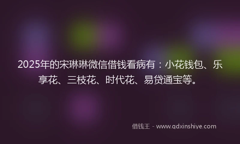 2025年的宋琳琳微信借钱看病有：小花钱包、乐享花、三枝花、时代花、易贷通宝等。