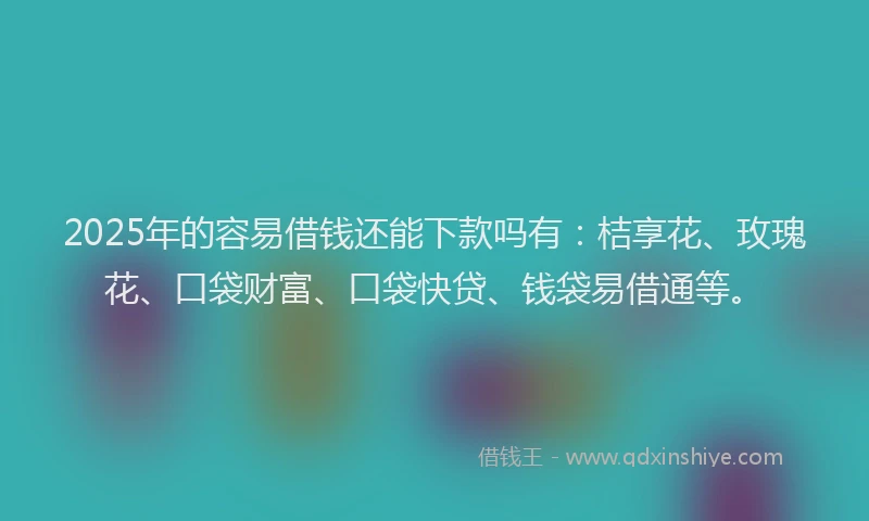 2025年的容易借钱还能下款吗有：桔享花、玫瑰花、口袋财富、口袋快贷、钱袋易借通等。